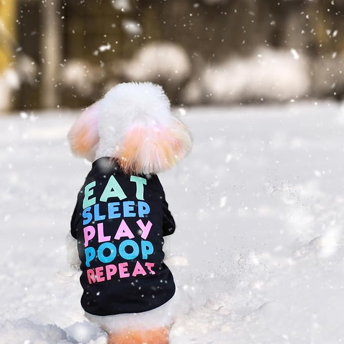 6 Pack Dog Clothes for Small Dogs Boy and Girl, Soft and Breathable Puppy Kitten Dog Shirts with Letters for Pet Cats, Winter Dogs' T-Shirts Apparel Sleeveless Vests for Chihuahua Yorkies