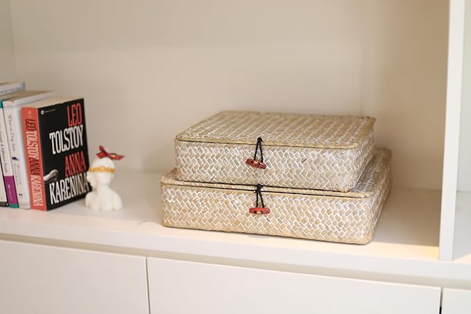 Whitewash Flat Seagrass Storage Bins with Lid, Wicker Basket for Shelf Organize, Set of 2 (Small+Large)