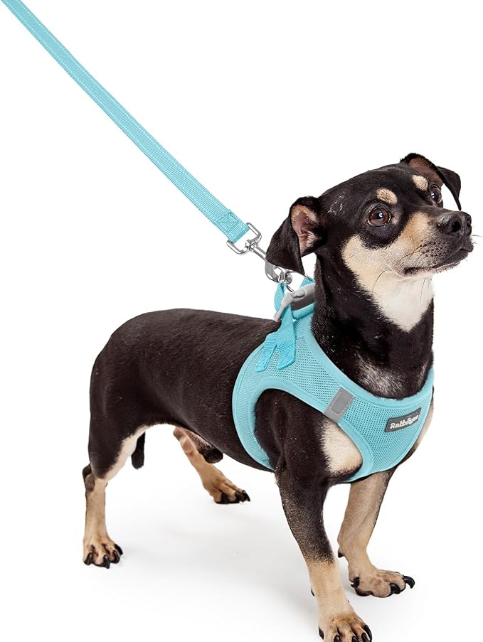 rabbitgoo Dog Harness Small Sized and Leash Set, Step-in Puppy Pet Vest | Light, Soft, Breathable Air Mesh, Easy on and Remove with Hook & Loop, Secure Reflective for Walking, Mint Blue XXXS