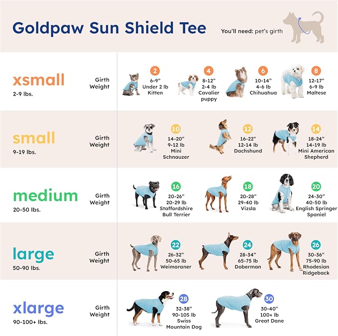 Goldpaw Dog Sun Shirt with UV Protection - Lightweight, Cooling Sun Protection Clothing for Small Dogs - Reduce Heat Absorption - Made in the USA - Machine Washable - Violet - Size 4