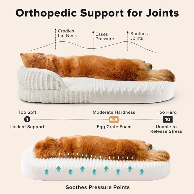 MIXJOY Orthopedic Dog Beds Medium Sized Dog,Medium Waterproof Oval Dog Bed with Removable Washable Cover,Egg-Crate Foam Big Pet Bed Couch Sofa with Bolster Sides,Non-Slip Bottom,M 28"X23",White