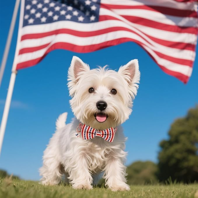 ADOGGYGO American Flag Dog Collar with Bow, Detachable Striped Star Bow, Metal Buckle, Adjustable Patriotic 4th of July Collars for Small Dogs Boy Girl Male Female (X-Small)