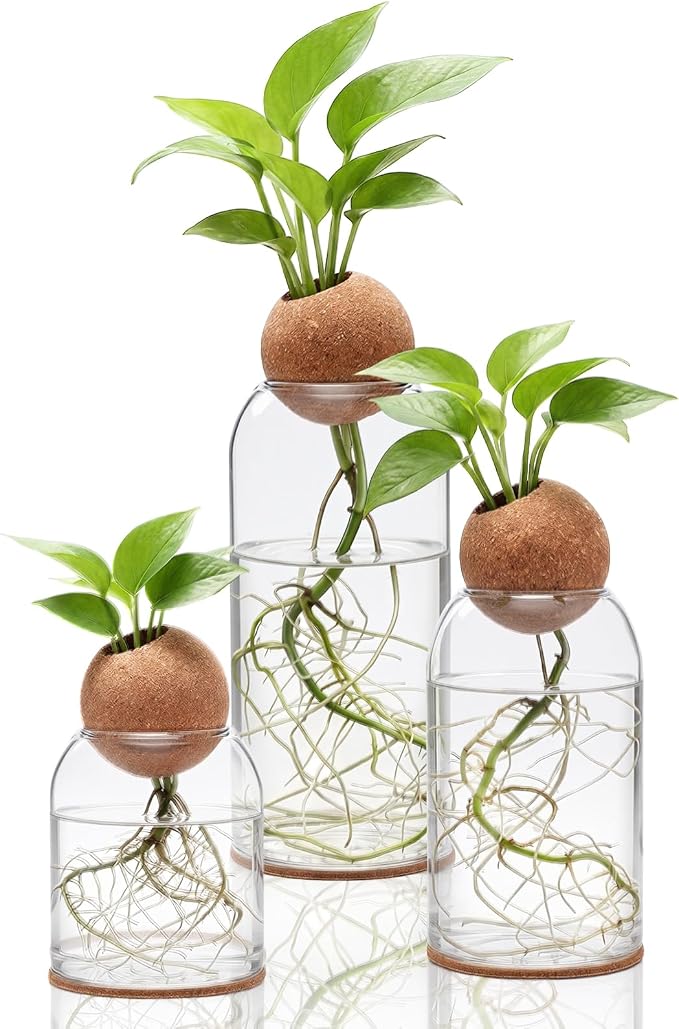 3 Pcs Glass Plant Propagation Stations for Plants with Spherical Lids and Cork Coasters Hydroponic Spherical Cork Planter Desktop Vases for Plants Cuttings Home Office Tabletop Decor