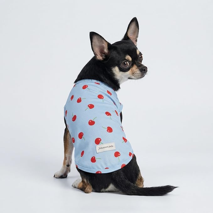 Fitwarm 2 Pack Ice Cream & Cherry UPF 50+ UV Sun Protection Dog Shirt, Lightweight Cooling Vest, Quick Dry Summer Clothes for Small Dogs Girl, Pet Outfit, Pink, Light Sky Blue, Small