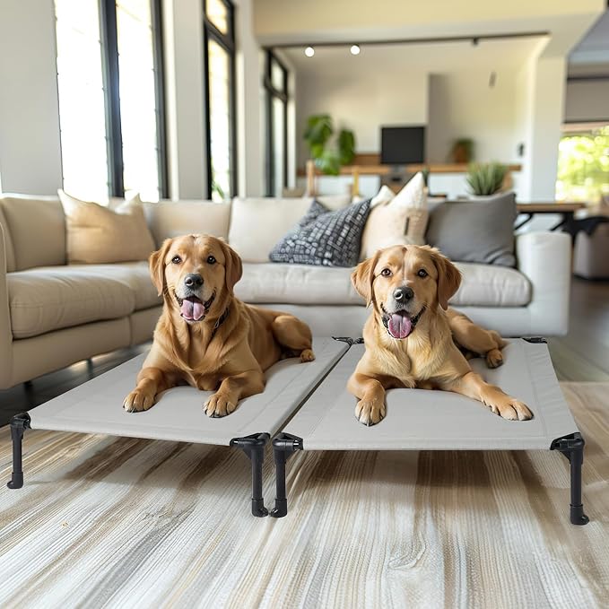 Veehoo 2 Pack Outdoor Elevated Dog Bed for Large Dogs, Cooling Raised Cots | Off-ground training platform, portable camping hammock, breathable mesh, easy to clean, no-tool setup, 42"x30", Gray