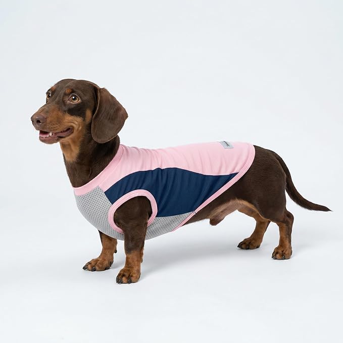 Fitwarm 2 Pack UPF 50+ UV Sun Protection Dog Shirt, Lightweight Breathable Cooling Vest, Quick Dry Dog Summer Clothes for Small Dogs Boy Girl, Reflective Label Pet Cat Outfit, Pink, Large