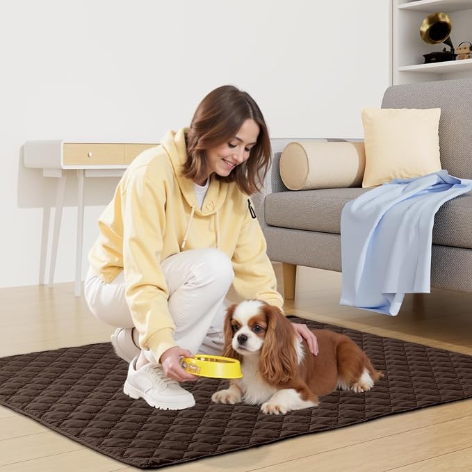Smiry Waterproof Dog Bed Cover Blanket, Reversible Pet Blanket | Soft Reversible, Washable Leakproof Cats Dogs Couch Cover for Sofa, Couch, Furniture (30x53 Inch)