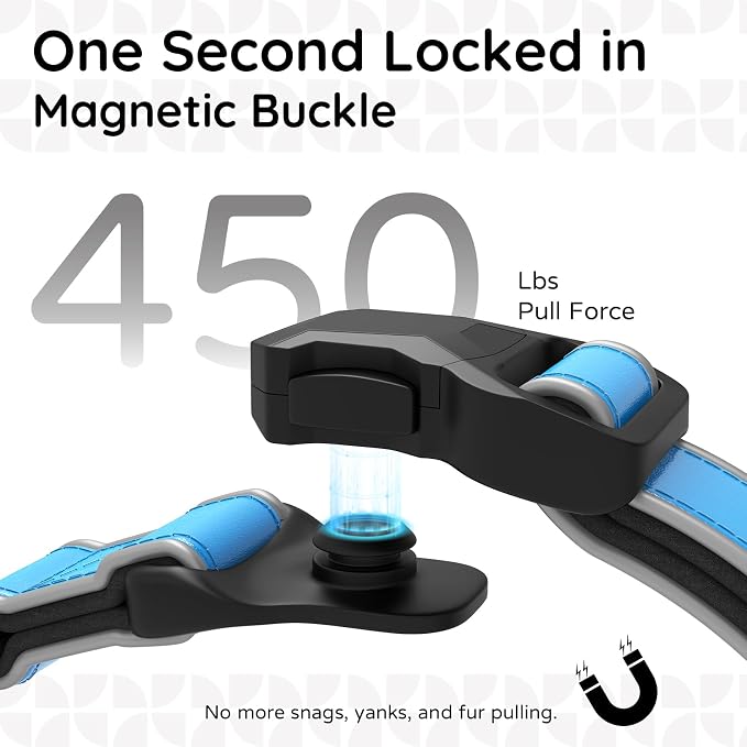 Leather AirTag Dog Collar, Magnetic Buckle, Reflective, Blue L