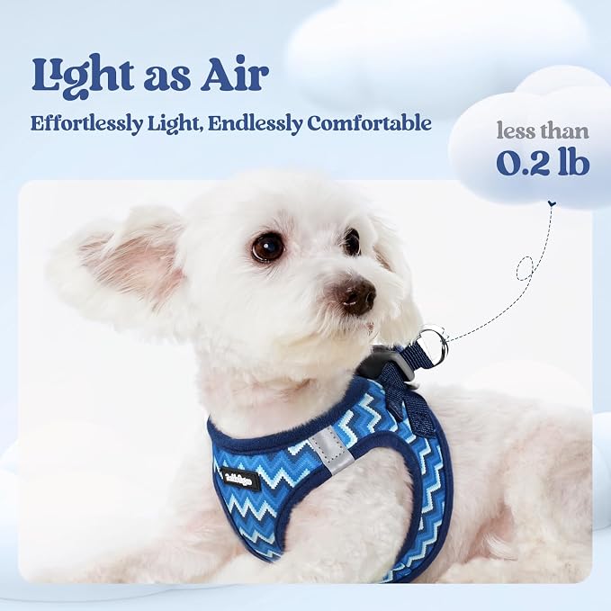 rabbitgoo Dog Harness Small Sized and Leash Set, Step-in Puppy Pet Vest | Light, Soft, Breathable Air Mesh, Easy on and Remove with Hook & Loop, Secure Reflective for Walking, Blue Zigzag XS