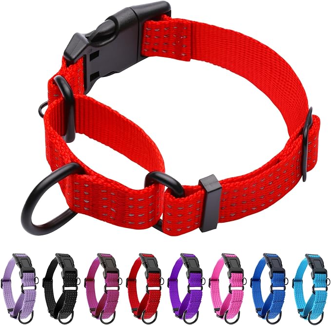 Martingale Dog Collar, Reflective No Pull, Red, XS