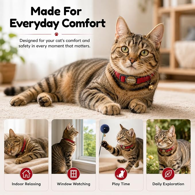 Personalized Breakaway Cat Collar with Name, Green