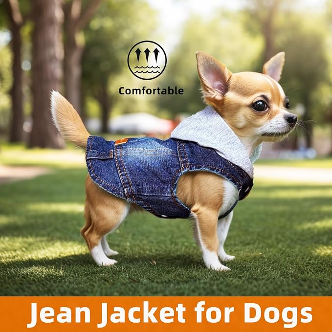 Small Dog Jeans Jacket with Hooded,Denim Pet Coat for Puppy(M) | Classic Dogs Hoodie Overalls Male Cat Costumes Washed Vest Clothes Outfit T-Shirts