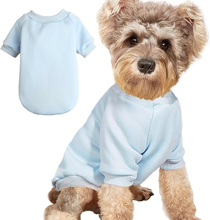 Puppy Sweater for Small Dogs Winter Pullover, Light Blue XL | Elastic Cuffs Pet Clothes, Holiday Party Matching, Fall Winter Daily Outfit, Soft Breathable Machine Washable Sweatshirt
