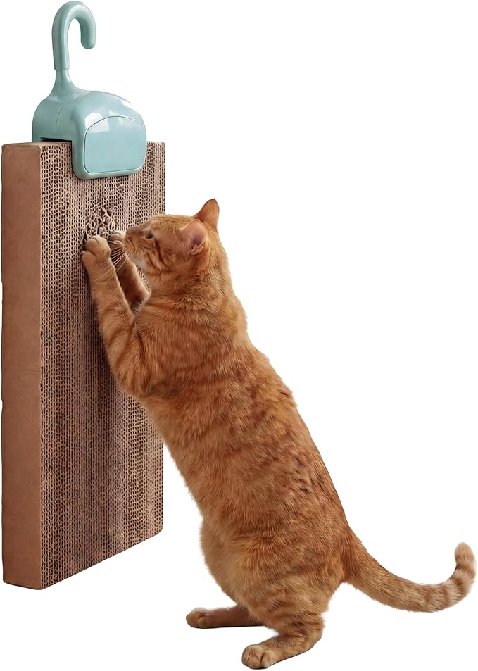 Kitty City Over The Door Cat Scratcher Clip – Space Saving Vertical Scratching Pad Holder for Cats – Protect Furniture & Doors – Fits Most Standard Scratch Pads – Easy Hook On Setup