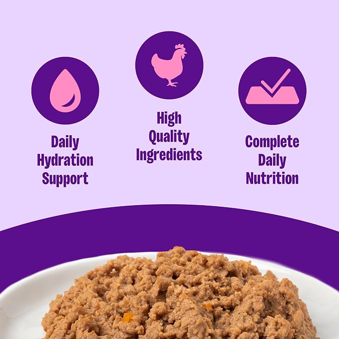 Wellness Complete Health Pate Adult Canned Wet Cat Food, Natural, Protein Rich, Grain Free, Chicken Entrée Recipe, 3 oz, Pack of 24 Cans