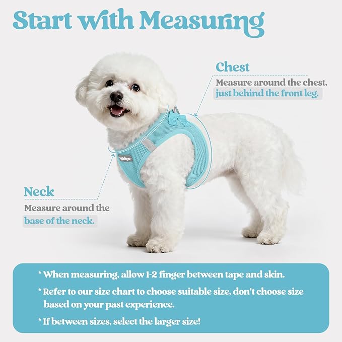 rabbitgoo Dog Harness Medium Sized and Leash Set, Step-in Puppy Pet Vest | Light, Soft, Breathable Air Mesh, Easy on and Remove with Hook & Loop, Secure Reflective for Walking, Mint Blue XXL
