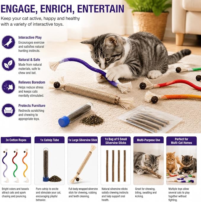LOS ANDES Cat Silvervine Sticks & Chew Rope Toys Set with Catnip, Stress Relief Cat Toy, Interactive Teeth Cleaning Toys for Indoor Cats & Kittens