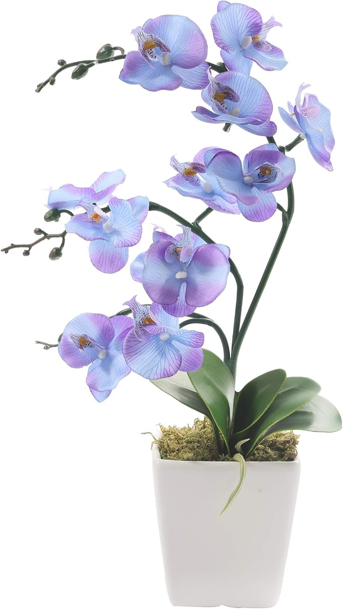 15" Silk Phalaenopsis Orchid in Square Pot, Purple Blue Flower Arrangements | Lifelike Faux Potted Blooms with Moss in a Ceramic Planter. Looks Real, Zero Upkeep, Ideal Centerpiece for Any Table