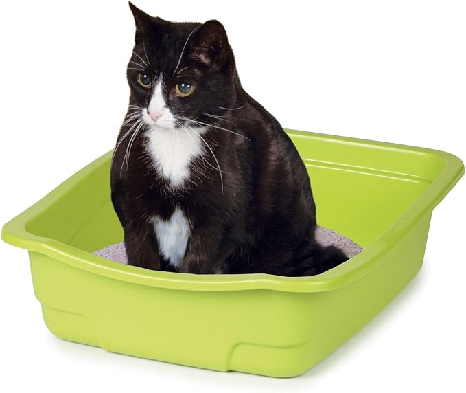 Litter Pans — Brightly Colored Assorted Litter Pans for Cat Litter, 6-Packs