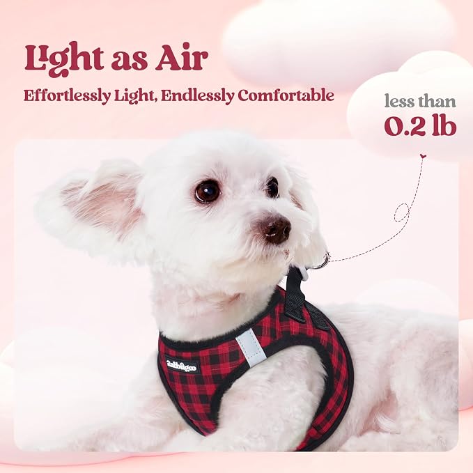 rabbitgoo Dog Harness Small Sized and Leash Set, Step-in Puppy Pet Vest | Light, Soft, Breathable Air Mesh, Easy on and Remove with Hook & Loop, Secure Reflective for Walking, Red Check S