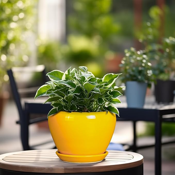 Ceramicfor Ceramic Pot for Plants - 6 Inch Plant Pot Glaze Modern Decorative Round Planter with Drainage Hole and Saucer for Home Patio Room Office House Decor, Yellow