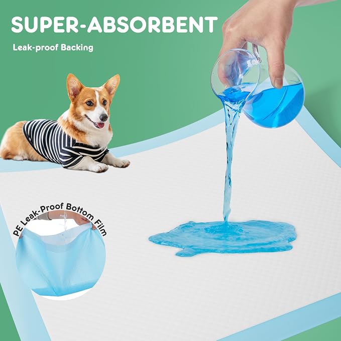 DUMOS 100 Count Puppy Dog Pads, Disposable Dogs Potty Pee Training Pads | 6-Layer Super Absorbency, Disposable Pet Leakproof Quick Drying, 22"×22"× Regular Size