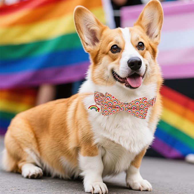 ADOGGYGO Rainbow Dog Collar with Bow Tie, Pride Bowtie Collar, Large