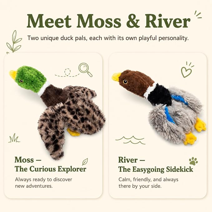 Stuffing-Free Duck Dog Toys, 2 Pack Plush Squeaky Toys with 6 Total Squeakers for Small Medium Dogs, Hollow Body Toys for Interactive Play