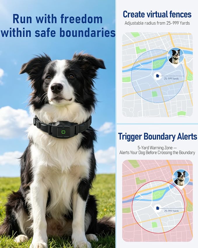 GPS Wireless Dog Fence System & Training Collar with Remote, 18+ lbs