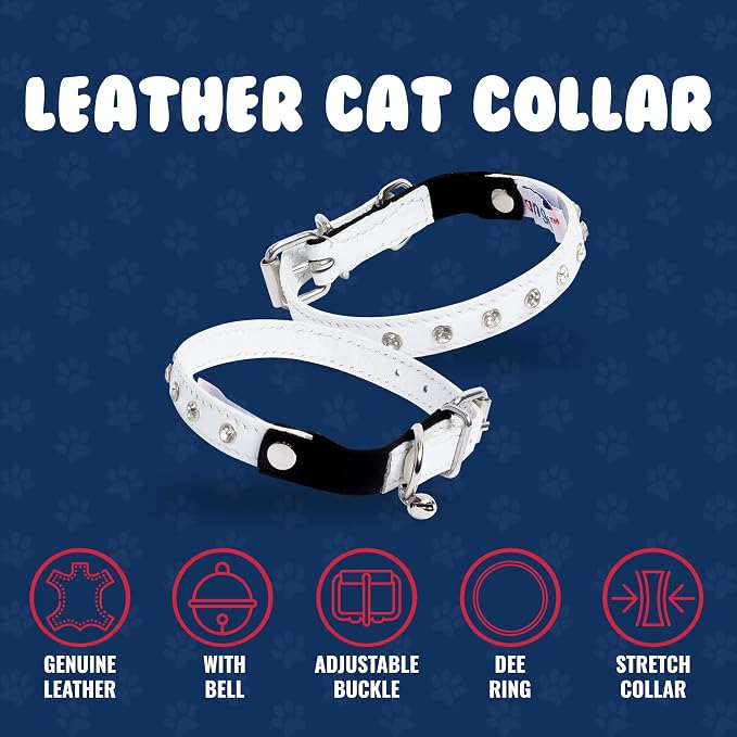 Athens Cat Collar, Leather Kitten Collar w/Rhinestones, Sturdy Breakaway Cat Collar with Bell & Elastic Stretch, Cat Accessories, Ivory White, 12 x ½ inches - Angel Pet Supplies