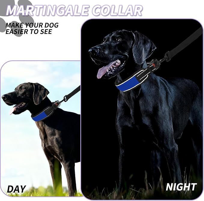 Martingale No Pull Dog Collar for Large Medium Dogs Training Walking, Heavy Duty Nylon Reflective Adjustable Anti Pull Slip Collar with Buckle S Blue