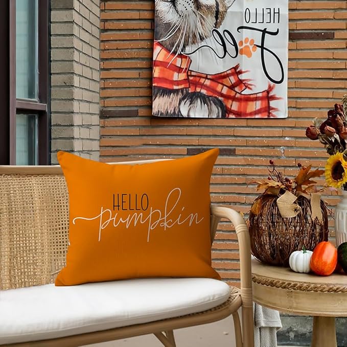 RABUSOFA Fall Pillow Covers 16x16 Inch,Autumn Hello Pumpkin Pillows Decorative Throw Pillows,Outdoor Thanksgiving Cushion Cover Farmhosue Fall Decor for Bedroom Couch Sofa