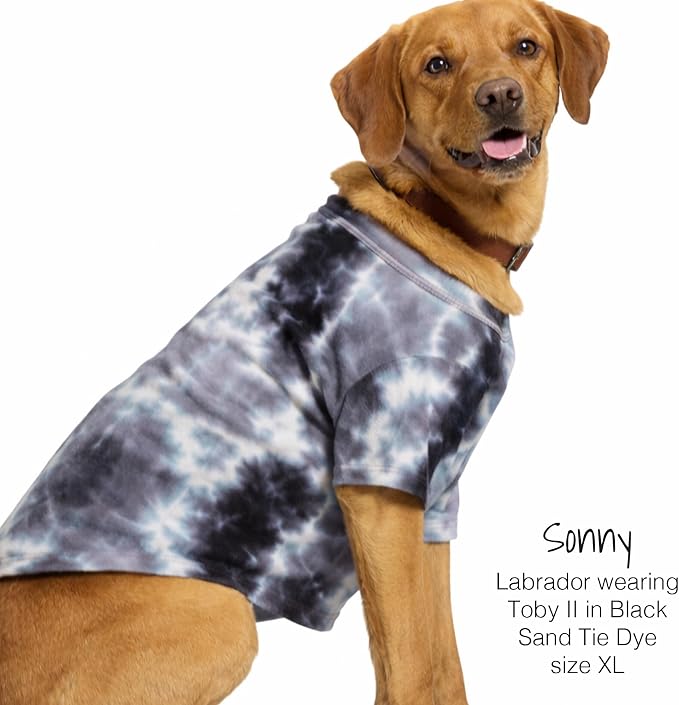 Pet Passion Toby II Dog T-Shirt, 3 Pack, Black Sand Tie Dye, Large | GOTS-certified organic cotton short-sleeve tee. Breathable, soft & sustainable for everyday wear.