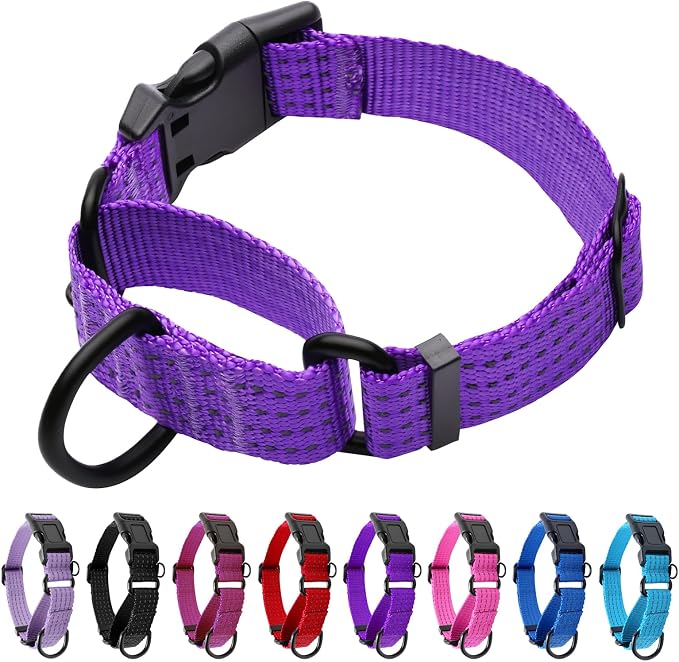 Martingale Dog Collar, Reflective No Pull with Buckle,Purple, XS