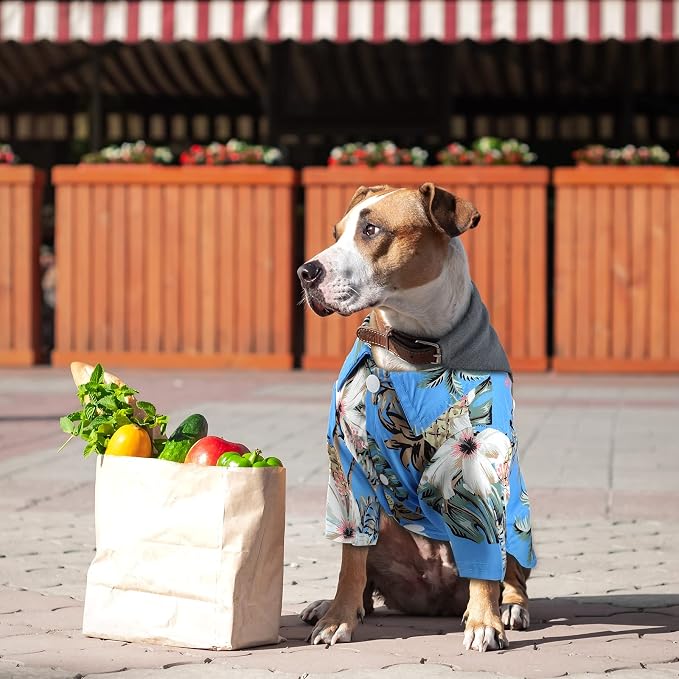 Weewooday 4 Pack Hawaiian Dog Shirts Summer Tropical,Cute Style,X-Small | Breathable Tee for Small Dogs, Beach Vacation Outfit, Floral Pineapple Palm Prints, Button-down Hawaiian Style Pet Shirt