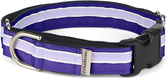 If It Barks 1" Martingale Collar with Quick Snap Release Buckle, Adjustable, USA Made, Small, Grape Crush
