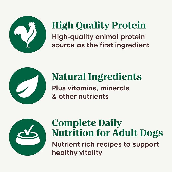 Nutro Hearty Stew Wet Dog Food, Meaty Lamb, 12.5 oz, 12 Pack | Grain-free, real lamb #1 ingredient, cuts in gravy, no corn, wheat, soy, made in USA facilities, canned dog food