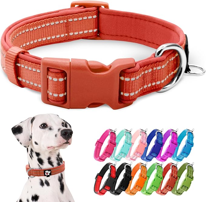 azuza Reflective Dog Collar, Neoprene Padded Large Dog Collar, Rust Red, L