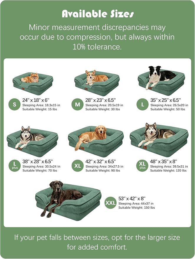 Spotted Play Orthopedic Dog Bed with Sides - Sofa Beds for Large Dogs, Supportive Foam Pet Couch Bed with Washable Removable Cover, Waterproof Lining and Non-Slip Bottom, Green - L-Plus