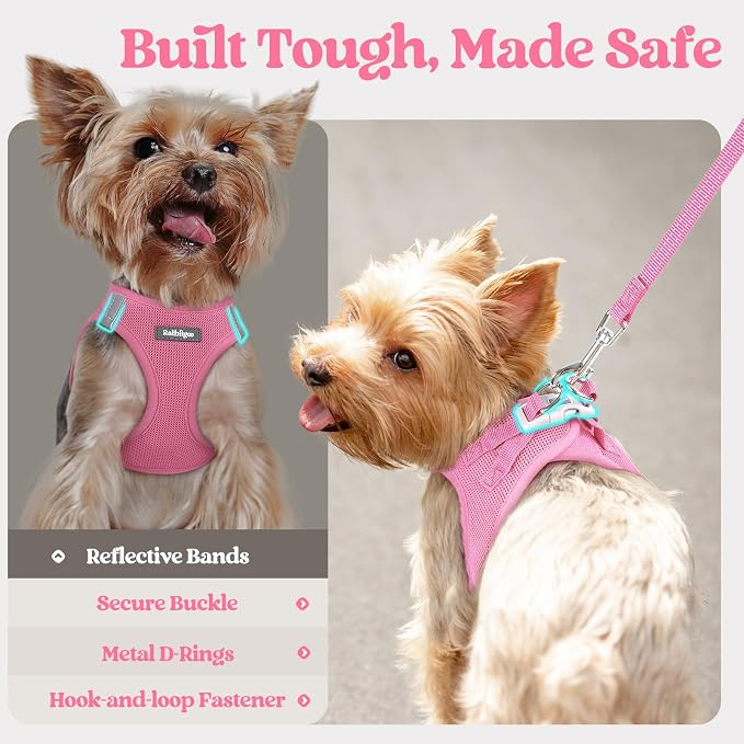 rabbitgoo Dog Harness Medium Sized and Leash Set, Step-in Puppy Pet Vest | Light, Soft, Breathable Air Mesh, Easy on and Remove with Hook & Loop, Secure Reflective for Walking, Light Pink XXL