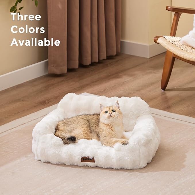 ZOMISIA Orthopedic Cat Couch Bed for Indoor Cats, Removable Washable Cover | 24x18'' Cute Cat Sofa Bed, Neck-Friendly Bolster, Pet Couch Bed with Supportive Egg Foam for Small Dogs Puppy Kitten, Green
