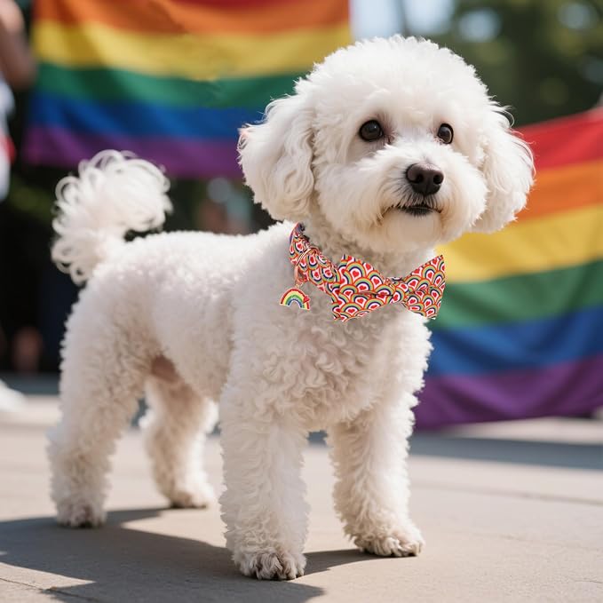 ADOGGYGO Rainbow Dog Collar with Bow Tie, Pride Bowtie Collar, Large