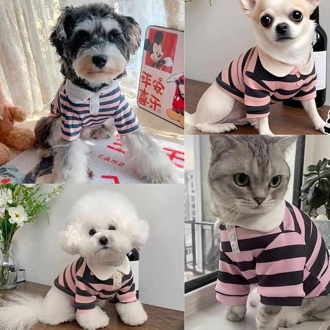 MANON ROSA Boy Dog Polo Shirt for Small Dogs, Pink, M, 5.5-8.8 lb | Cute Puppy Clothes With Classic Stripes, Soft Breathable Pet Apparel For Yorkies, Shih Tzus, Maltese And Everyday Summer Wear