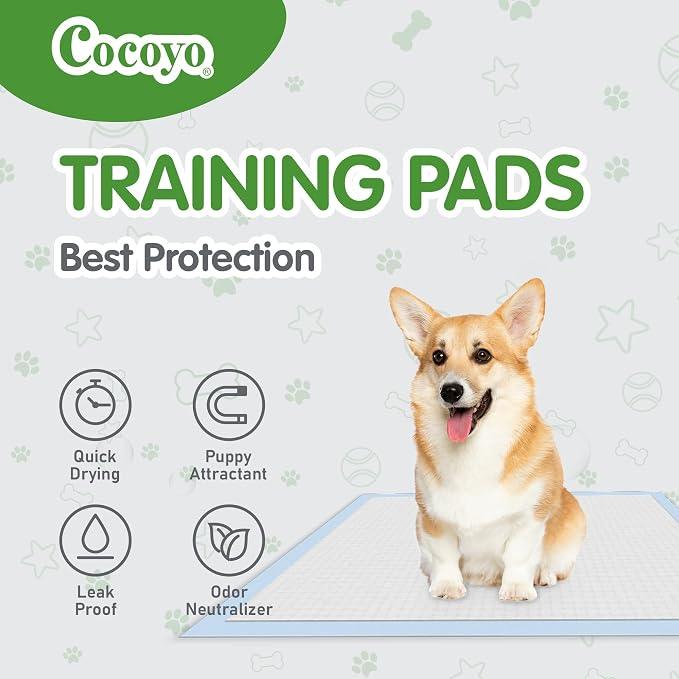 COCOYO Best Value Dog Training Pads Giant Size | Dog Pee Pads XXXL Size | Super Absorbent Puppy Pads (30" x 45", 30 Count) (XXXL)