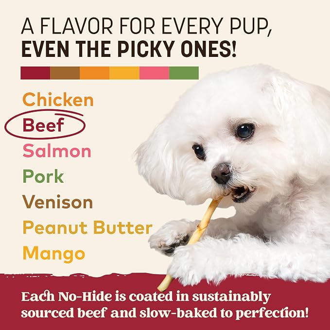 Earth Animal No Hide Stix - Rawhide Free Dog Chews Sticks 80 Count Beef | Small Sticks Beef Flavored Natural Rawhide Free Long Lasting Dog Chews - Pet Treats for Small Dogs and Cats