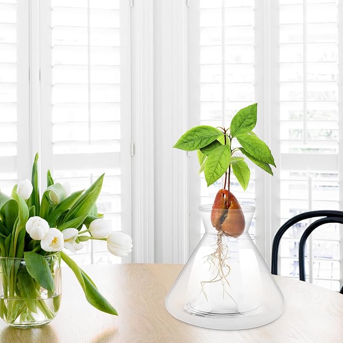 1 PCS Avocado Seed Starter Vases, Pit Planter Pot Avocado Tree Growing Kit Acorn Bulb Vase Grow Glass Blue Hydroponics Container for Gardening Lover