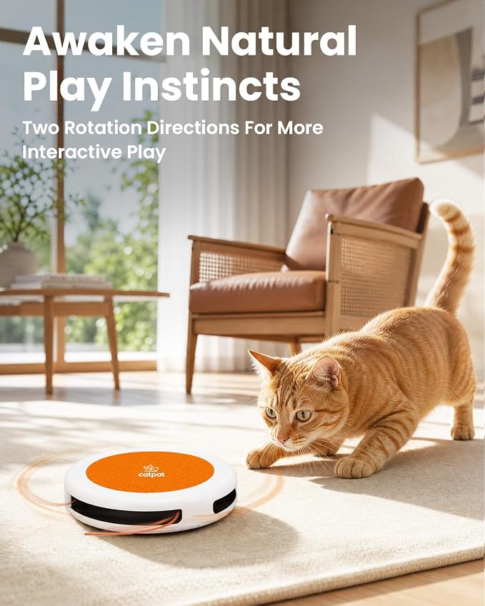 Automatic Interactive Cat String Toys for Indoor Cats | Auto Sleep/Restart Modes, Tap to Wake, Battery Powered, Self Play Toy, Replaceable, Hunting & Daily Exercise