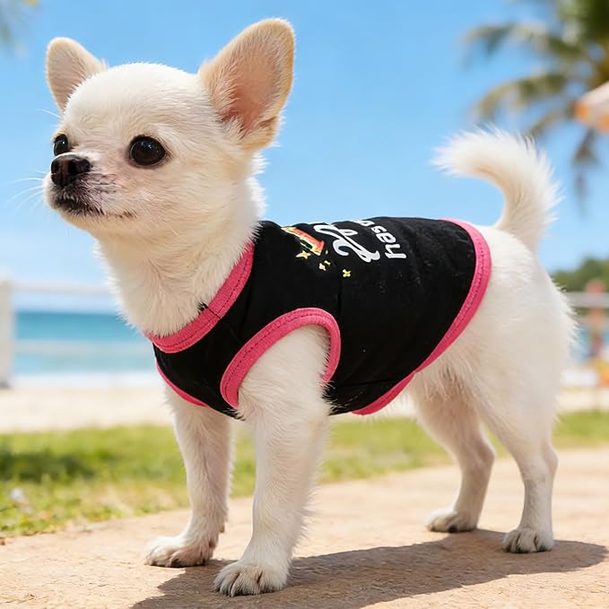 4 Pack Dog Shirt for Small Dogs Spring Summer Printed Puppy Clothes Cute Pet T Shirts Dog Clothes for Small Dogs Cats Girl (Grey+Pink+Purple,Black, Small)