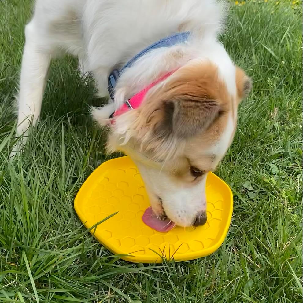 PROJECT HIVE ·PET COMPANY· Dog disc - Great for Fetch - Includes a Lick mat on Back - Floats in Water, Smooth Glide - Made in The USA (Unscented Yellow)