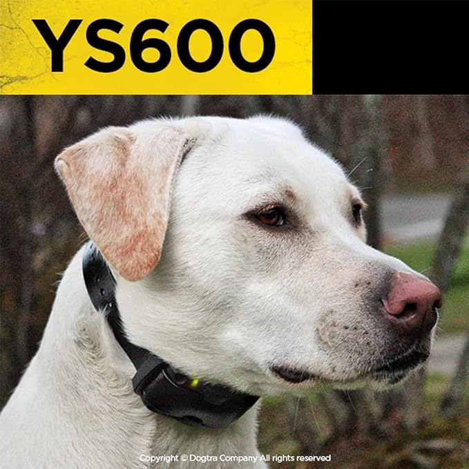 Dogtra YS600 Rechargeable Waterproof High-Output No Bark Collar